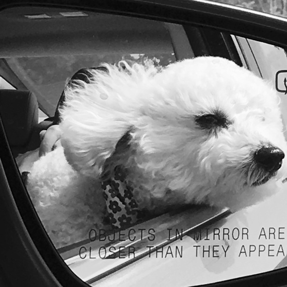 Meet your Posher, Jennifer - Picture 3 of 7